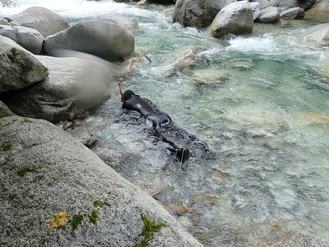 水の中も見ます。